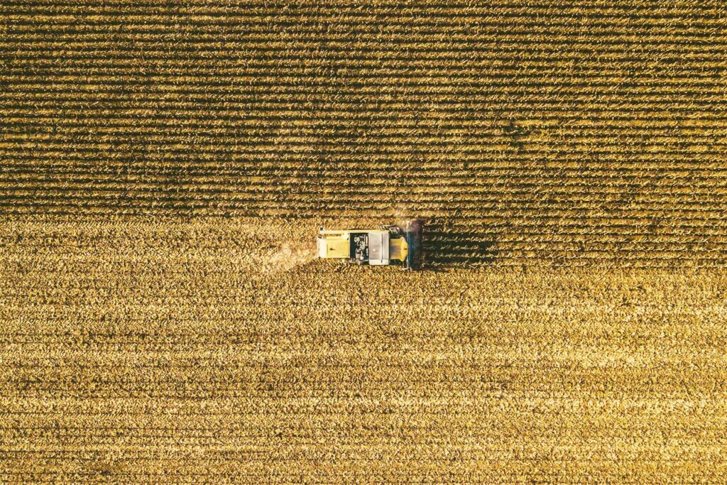 M&A Activity in Agriculture: Is It Time to Harvest?